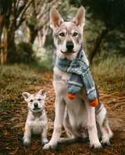 Load image into Gallery viewer, Pet Edits