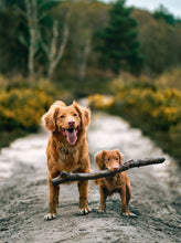 Load image into Gallery viewer, Pet Edits