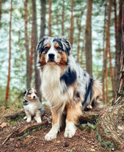 Load image into Gallery viewer, Pet Edits