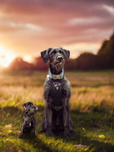 Load image into Gallery viewer, Pet Edits